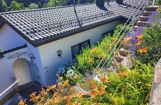 Einfamilienhaus kaufen in 69253 Heiligkreuzsteinach, Heiligkreuzsteinach - Unverbaubare Aussicht in Heiligkreuzsteinach