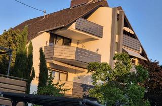 Wohnung kaufen in 65719 Hofheim am Taunus, Entkernte 3-Zimmer-Erdgeschosswohnung mit Balkon in Hofheim