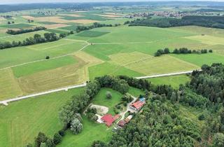 Haus kaufen in 87776 Sontheim, Provisionsfreies, idyllisch gelegenes Anwesen in Alleinlage mit großzügigem Grundstück