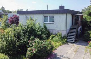 Anlageobjekt in 18469 Velgast, Sechs Zimmer, Kamin & Sauna - Aus dem Wohnzimmer in Velgast die Rehe beobachten