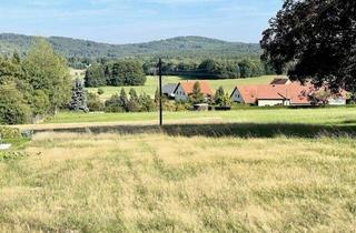 Grundstück zu kaufen in 01920 Steina, Herrliche Baufläche für 3 EFH in 01920 Steina