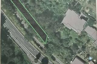 Grundstück zu kaufen in 61231 Bad Nauheim, Naturbelassenes Grundstück zu verkaufen