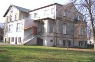 Villa kaufen in 39221 Welsleben, Bördeland - Provisionsfrei* Klassische Villa (Denkmal) für Idealisten, Enthusiasten