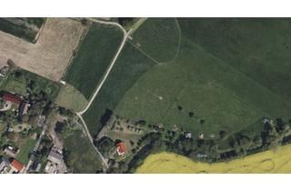 Einfamilienhaus kaufen in 02694 Malschwitz, Malschwitz - Großes Einfamilienhaus mit Nebengebäude
