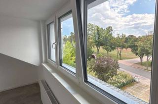 Wohnung mieten in 65239 Hochheim, Attraktive, frisch kernsanierte 4-Zimmer-Wohnung mit großer Terrasse in ruhiger Lage von Hochheim
