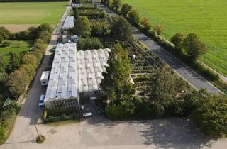 Immobilie kaufen in Aachener Straße 76, 52399 Merzenich, Alt eingesessene Baumschule mit großem Sortiment und Endkundengeschäft in bester Sichtlage zu verk.