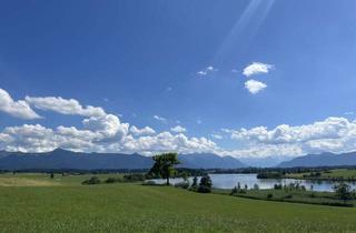 Gewerbeimmobilie kaufen in 82418 Riegsee, Grünland*Freizeit-Grundstück*Ausgleichsfläche*in sonnig ruhiger Waldrandlage