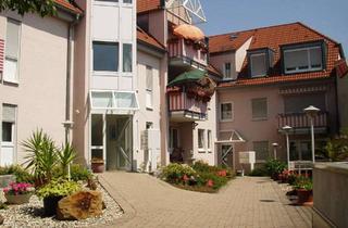 Wohnung mieten in 67157 Wachenheim, Stilvolle, gepflegte 2-Raum-Erdgeschosswohnung mit Terrasse und EBK in Bad Dürkheim (Kreis)