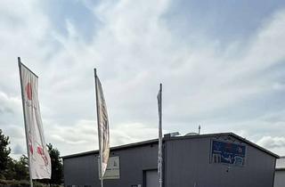 Gewerbeimmobilie kaufen in 29690 Schwarmstedt, Freistehende Gewerbeimmobilie mit Lagerhalle