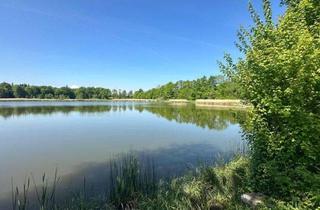 Gewerbeimmobilie kaufen in 88448 Attenweiler, Pferdehaltung? Bauernhaus mit Scheune, Nebengebäuden und viel Land zu verkaufen!