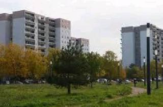 Wohnung kaufen in 63128 Dietzenbach, Dietzenbach - Dietzenbach 2 Zimmer Wohnung zu Verkaufen