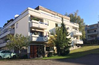 Wohnung kaufen in 76887 Bad Bergzabern, Appartement-Single-Wohnung-Ferienwohnung-sehr schön renoviert