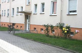 Wohnung mieten in Oskar-Meßter-Str. 13, 06886 Lutherstadt Wittenberg, Sonnige 3-Zimmer-WE mit Balkon, Erdgeschoss, ruhige Grünlage, Erstbezug nach Renovierung