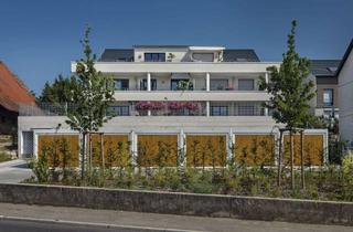 Wohnung mieten in 74081 Klingenberg, Exklusive 3,5-Zimmer-Wohnung mit großer Dachterrasse und Ausblick zu vermieten!