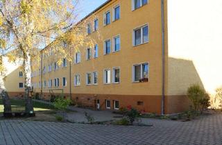 Wohnung mieten in Luxemburgstr. 10, 06846 Siedlung, 1-Raum-Wohnung in Siedlung