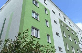 Wohnung mieten in Willi-Budich-Straße 33, 03044 Schmellwitz, Komplett saniert Wohnung mit Südbalkon