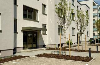 Wohnung mieten in Südliche Ringstraße 109a, 63225 Langen, *Erstbezug nach energetischer Modernisierung* Großzügige 2 ZKB mit Balkon in Langen!