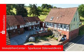 Haus kaufen in 64711 Erbach, Großzügiges Fachwerkhaus mit schönem Garten und Pool