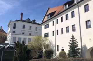 Mehrfamilienhaus kaufen in 04808 Wurzen, Kapitalanlage - 2 denkmalgeschützte Mehrfamilienhäuser in historischem Ambiente in Wurzen