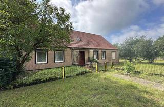 Bauernhaus kaufen in Lindenweg 10, 17258 Feldberger Seenlandschaft, Bauernhaus mit massiver Scheune in ruhiger Randlage von Triepkendorf