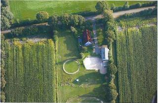 Haus kaufen in 25767 Osterrade, Traumhaft leben in AlleinlageTraumhaft leben in Alleinlage