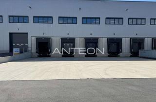 Gewerbeimmobilie mieten in 41334 Nettetal, Logistikfläche in Nettetal | 10,50m UKB | Nahe der A57 | Rampenandienung