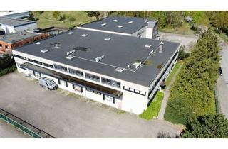 Büro zu mieten in Charlottenburger Str. 11, 21502 Geesthacht, Lager-/Produktionshalle beheizt - Fläche teilbar - mit Büro und Verladerampen in Geesthacht