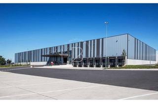 Gewerbeimmobilie mieten in 68642 Bürstadt, "BAUMÜLLER AG" - ca. 30.000 m² Logistik Neubau - WGK III (optional) - 24/7 Betrieb möglich!
