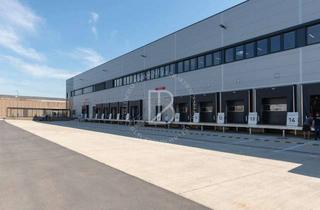 Gewerbeimmobilie mieten in 68766 Hockenheim, "BAUMÜLLER AG" - Logistik-Neubau - 20.000 m² - 11,20 m UKB - WGK möglich!