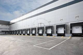 Gewerbeimmobilie mieten in 55268 Nieder-Olm, "BAUMÜLLER AG" - ca. 20.000 m² Hallenfläche - Rampentore