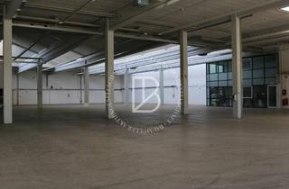 Gewerbeimmobilie mieten in 64546 Mörfelden-Walldorf, "BAUMÜLLER AG" - ca. 20.000 m² - Produktions-/Logistikfläche - Rampe + ebenerdige Andienung!
