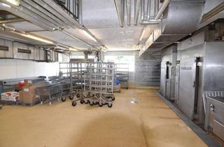 Gewerbeimmobilie kaufen in 55252 Mainz-Kastel, Gelegenheit ! 4600 m2 Gewerbegrundstück mit 1000 m2 Produktionshalle in Toplage Mainz Kastel