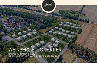 Grundstück zu kaufen in 14776 Dom, Bauträgerfreier Bauplatz im Grünen mit begehrter Südost-Ausrichtung und freien Waldblick