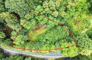 Grundstück zu kaufen in 21224 Rosengarten, Großzügiges Baugrundstück in Rosengarten – 3.145 m² mit Entwicklungspotenzial!