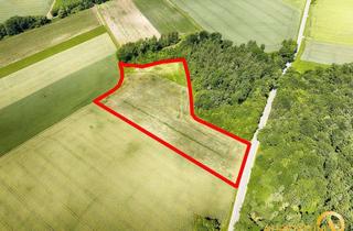 Grundstück zu kaufen in 93326 Abensberg, Abensberg/Sandharlanden: Grundstück mit 18.386 m² (Acker, Forst) zu verkaufen.