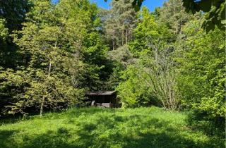 Grundstück zu kaufen in 92262 Birgland, Freizeitgrundstück im herrlichen Birgland