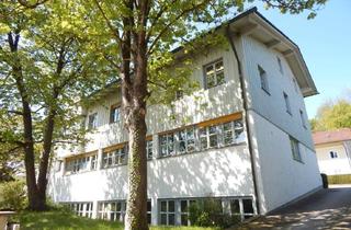 Gewerbeimmobilie mieten in Dorfstraße, 83404 Ainring, Große Gewerbefläche in Ainring - vielseitig nutzbar - Parkplätze vorhanden - kurzfristig verfügbar
