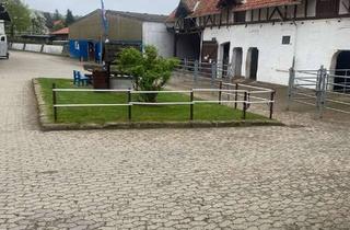 Lager kaufen in 38275 Haverlah, REITERHOF MIT *** GARNI-HOTEL, Reithalle, Reitplatz, Koppeln, Boxen, Ställe. Objekt Nr. 384-25