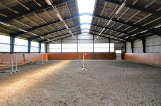 Lager kaufen in 25785 Nordhastedt, Neuer Preis !Großzügige Reitanlage mit 2 Reithallen und 60 Pferdeboxenbei Heide - Holstein