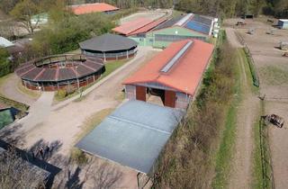 Lager kaufen in 25785 Nordhastedt, Neuer Preis !Großzügige Reitanlage mit 2 Reithallen und 60 Pferdeboxenbei Heide - Holstein