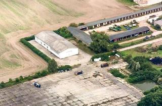 Lager kaufen in 06905 Pretzsch, Vielseitige Gewerbehalle mit großer Freifläche & Büros – ideal für Lager, Produktion & Werkstatt