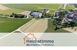 Gewerbeimmobilie kaufen in 86655 Harburg, Landwirtschaftliche Flächen in Großsorheim und Bühl