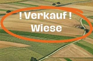 Gewerbeimmobilie kaufen in 87757 Kirchheim, Wiese "Haselbacher Feld" in Kirchheim zu verkaufen
