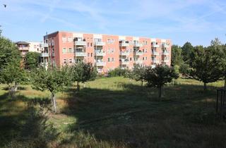 Wohnung mieten in Am Bergpark 1 a, 15537 Gosen-Neu Zittau, 2-Zimmer-Wohnung mit Terrasse und kleinem Garten am Seddinsee Nr. 107