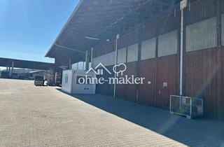 Büro zu mieten in 93482 Grafenkirchen, Lagerhalle 1100qm mit überdachter Freifläche