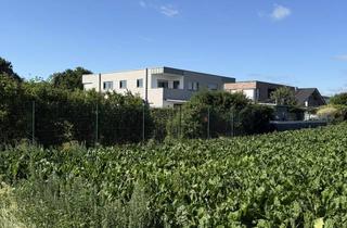 Wohnung mieten in Weyresstraße 32, 52525 Heinsberg, Naturnah wohnen mit bester Anbindung und traumhafter Aussicht