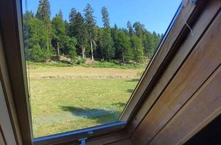 Wohnung mieten in 75337 Enzklösterle, Helle 1-Raum-DG-Wohnung mit gehobener Innenausstattung mit Balkon und EBK in Enzklösterle