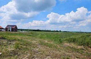Haus kaufen in Am Rosenfeld, 31319 Sehnde, Bewerbung bis 24.08.’25: Viel Wohnraum auf kleiner Fläche. Ihr energiesparendes Town & Country Ra...