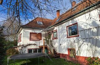 Mehrfamilienhaus kaufen in Darmstädter Str. 88, 64720 Michelstadt, Grosses Mehrfamilienhaus in Michelstadt