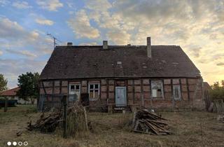 Haus kaufen in 16259 Oderaue, Charmantes Fachwerkhaus im Landkreis Märkisch-Oderland